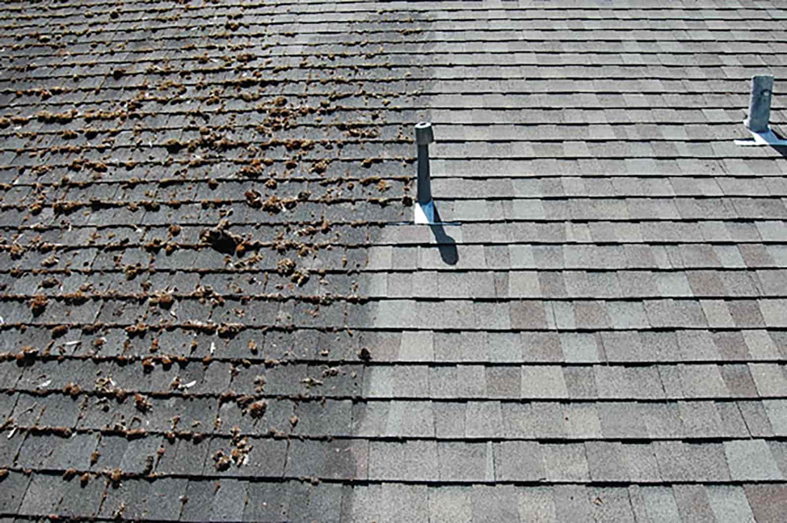 Roof with leaves and moss all over it.